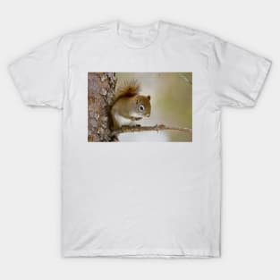 Red Squirrel T-Shirt